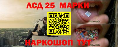 Альфа ПВП Можайск
