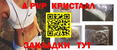 apvp Можга