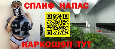 apvp Можга